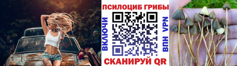MEGA ССЫЛКА  Калач-на-Дону  Галлюциногенные грибы ЛСД 